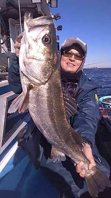 シーバス(スズキ)