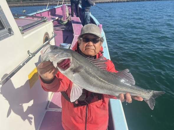 シーバス(スズキ)