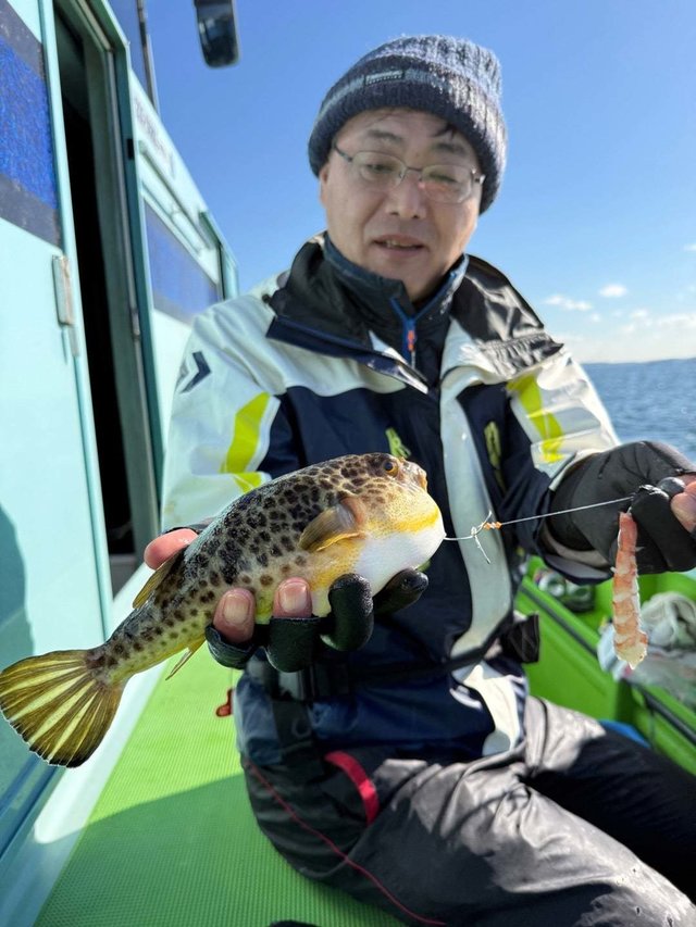 フグ(アカメフグ)