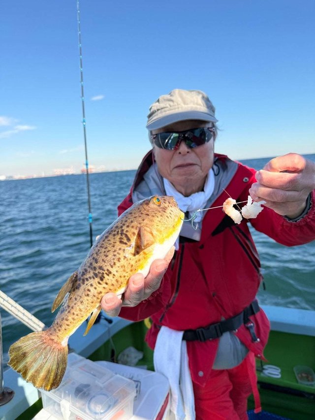 フグ(アカメフグ)