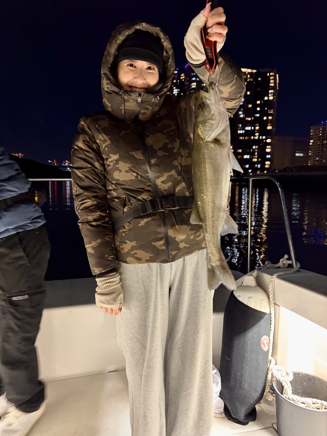 シーバス(スズキ)