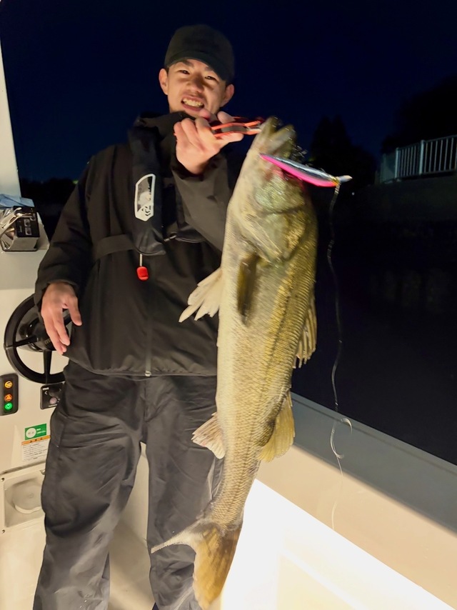 シーバス(スズキ)