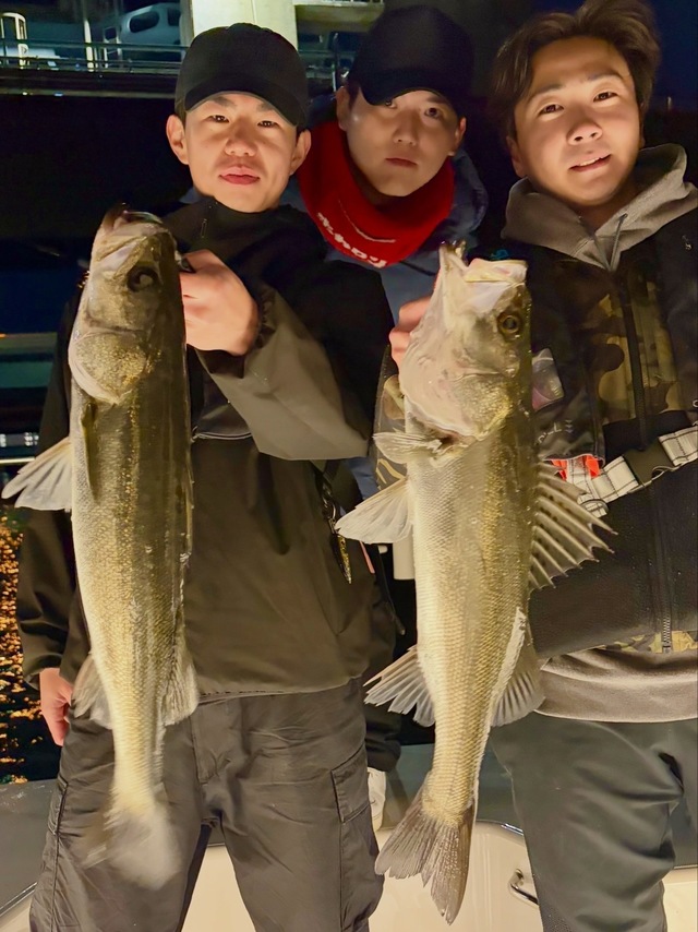 シーバス(スズキ)