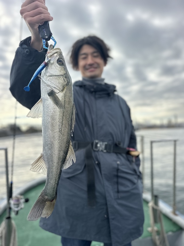 シーバス(スズキ)