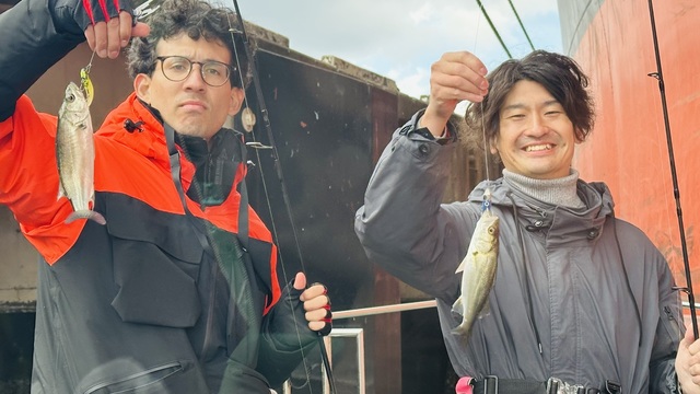 シーバス(スズキ)