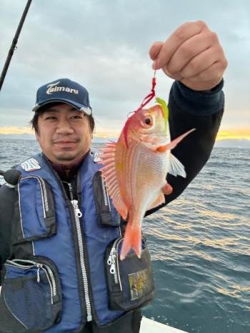 レンコダイ(キダイ)