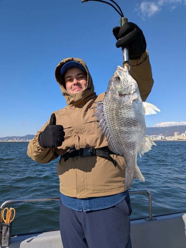 キビレ(キチヌ)