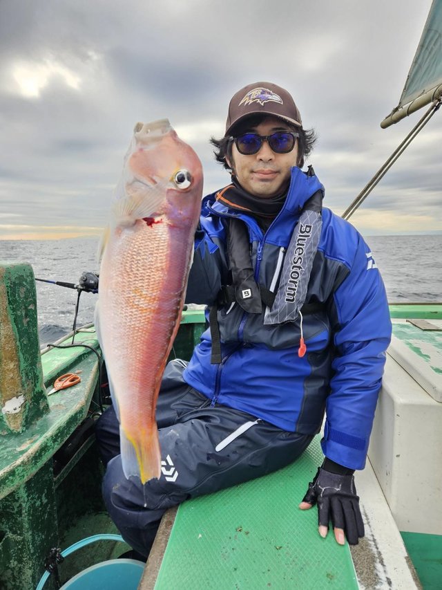 アマダイ(アカアマダイ)