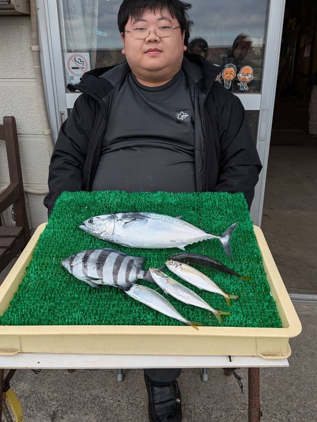 イシダイ・アジ(マアジ)