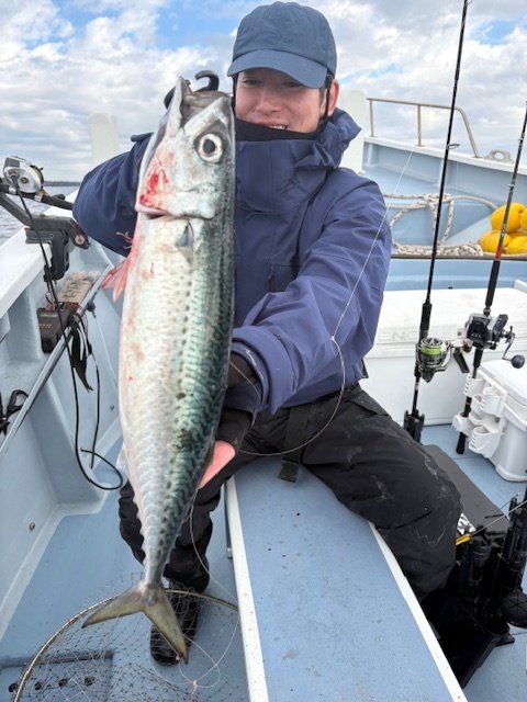 サバ(ゴマサバ)