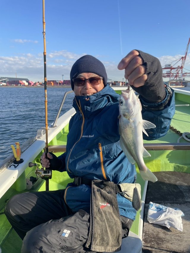 イシモチ(シログチ)