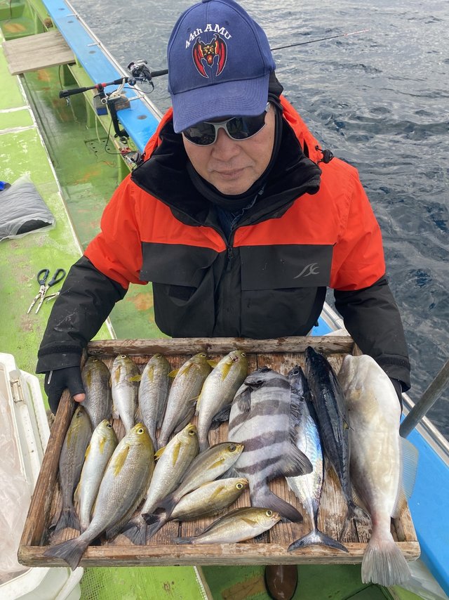 イシダイ・イサキ・ヒラソウダ・ウスバハギ