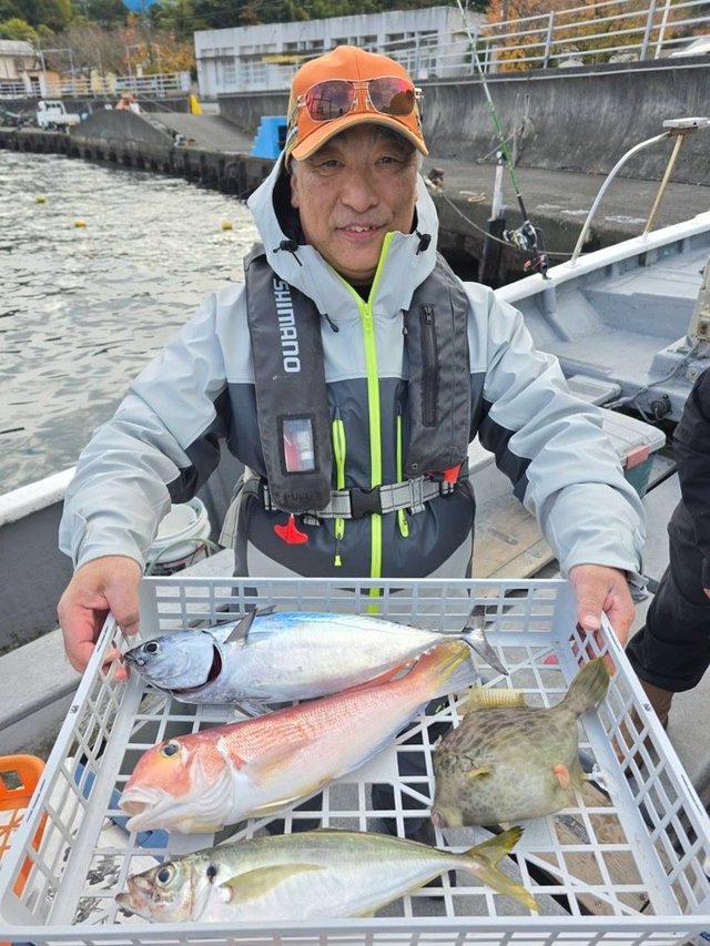 アジ(マアジ)・アマダイ(アカアマダイ)・カワハギ