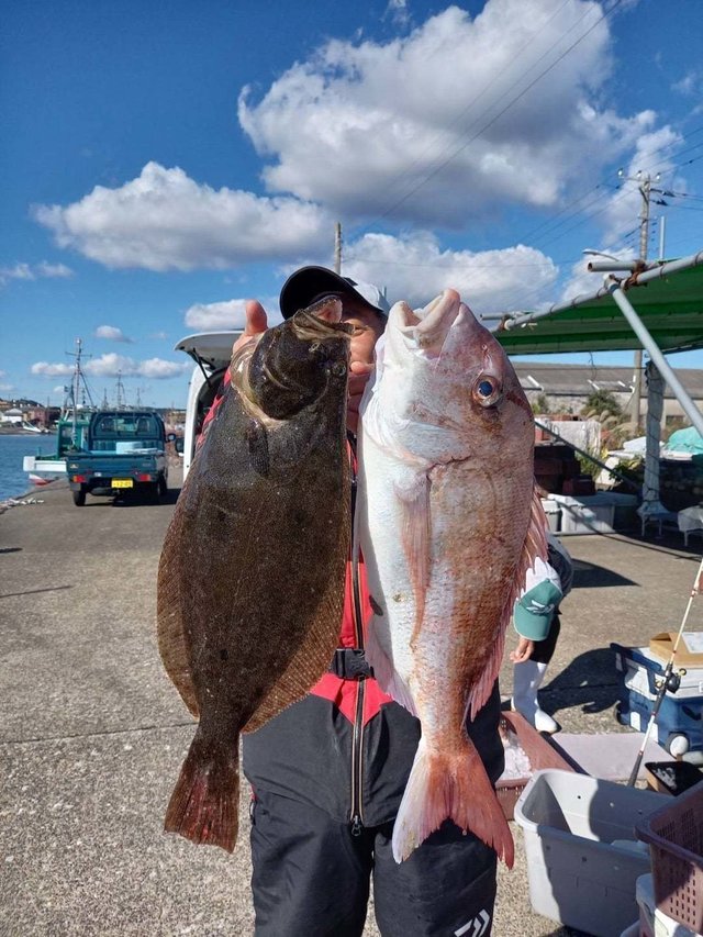 マダイ・ヒラメ