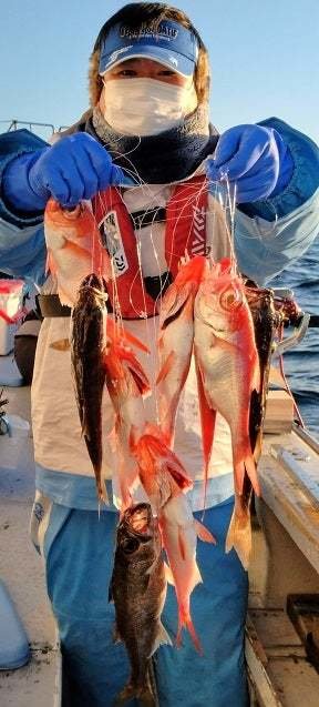 クロムツ・キンメ(キンメダイ)