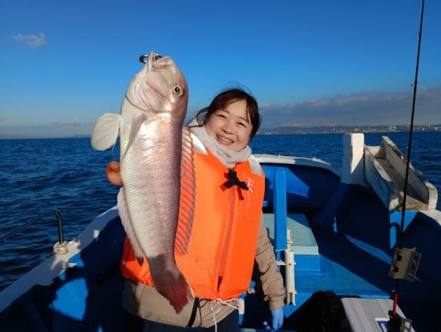 アマダイ(アカアマダイ)