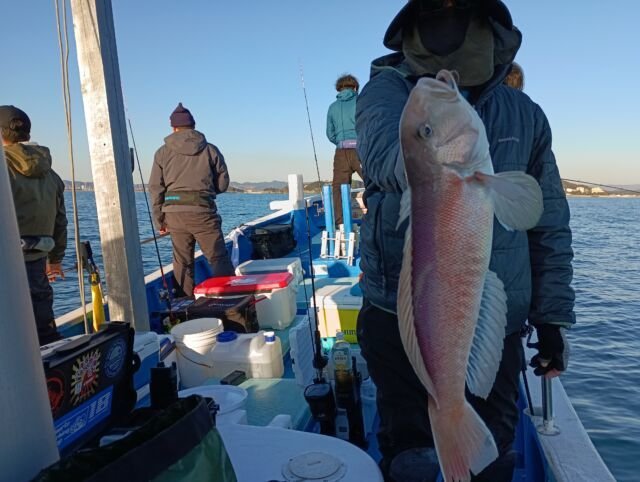 アマダイ(アカアマダイ)