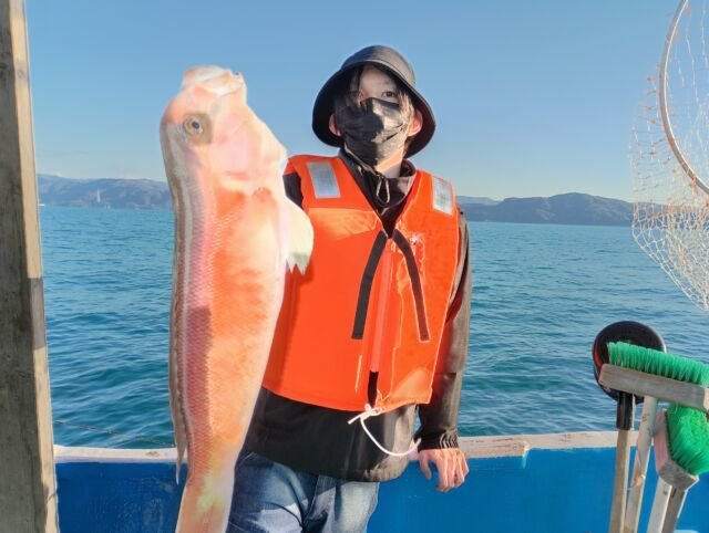 アマダイ(アカアマダイ)