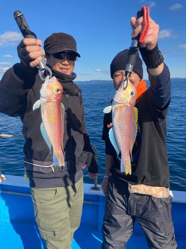 アマダイ(アカアマダイ)