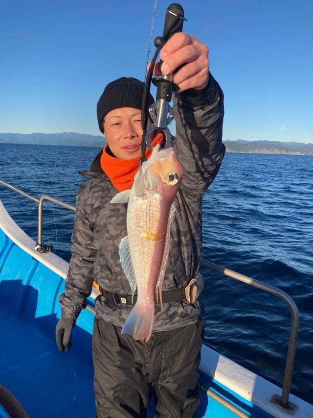 アマダイ(アカアマダイ)