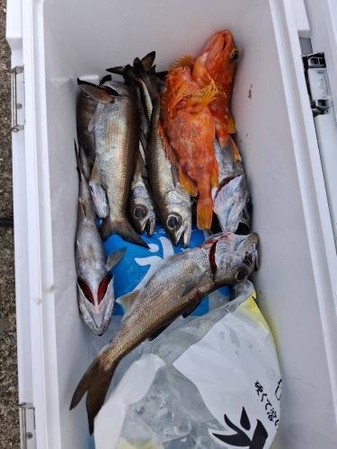 クロムツ・カサゴ