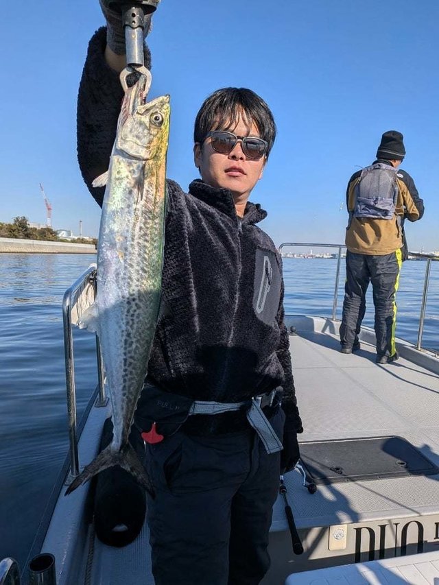 サゴシ(サワラ)