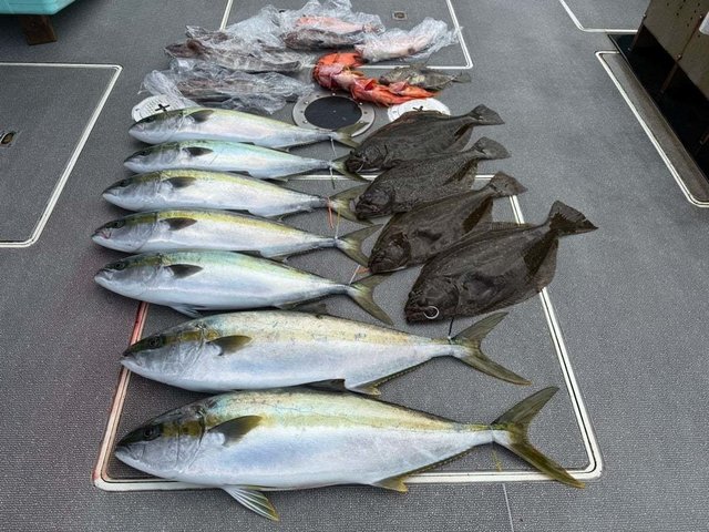 ブリ・カサゴ・ヒラメ