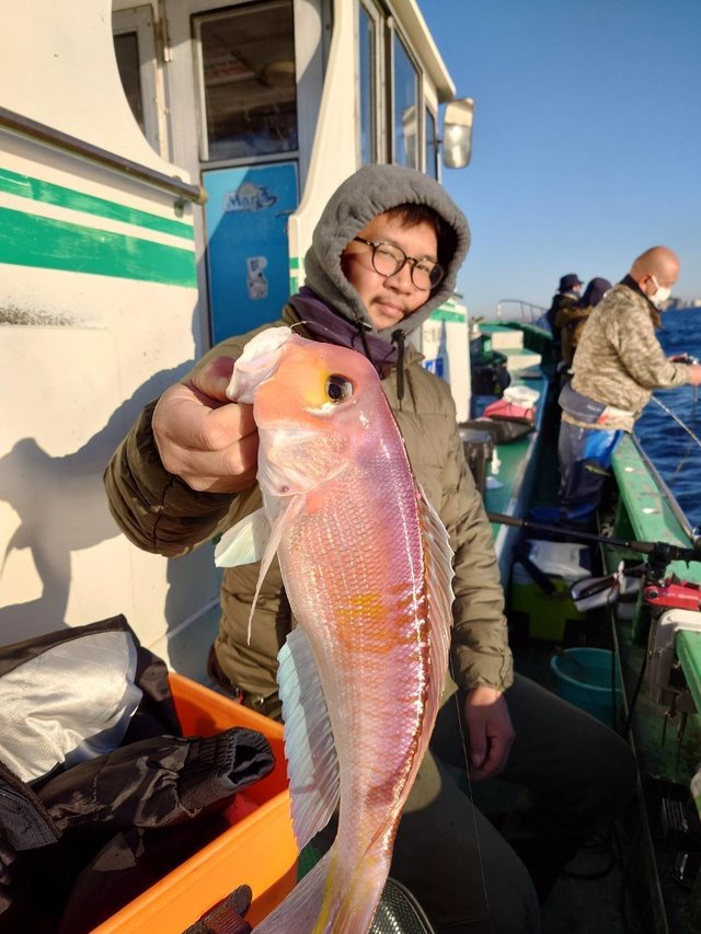 アマダイ(アカアマダイ)