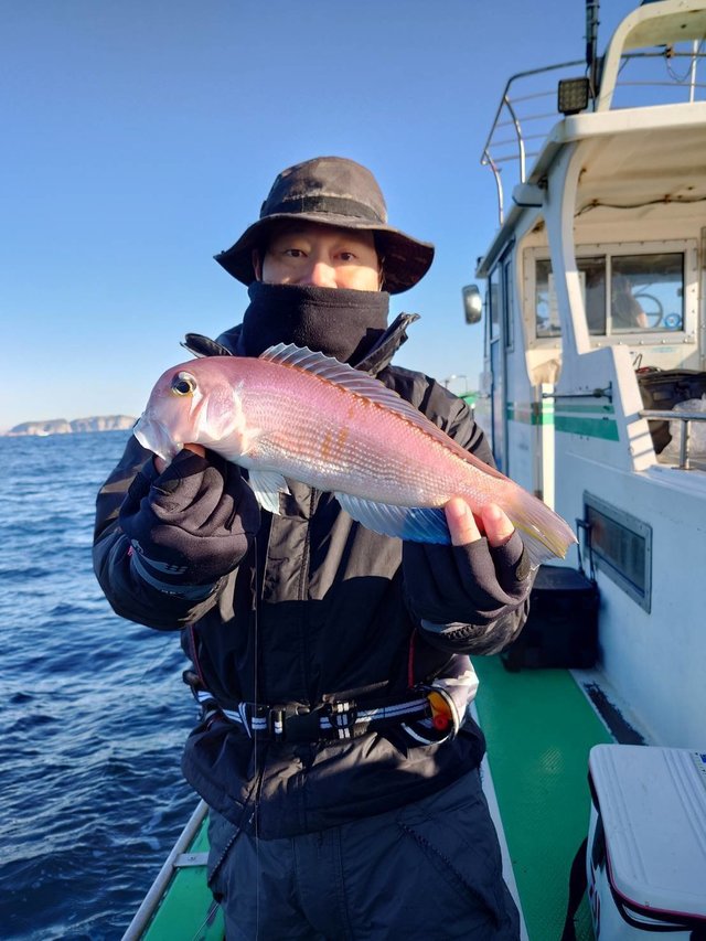 アマダイ(アカアマダイ)