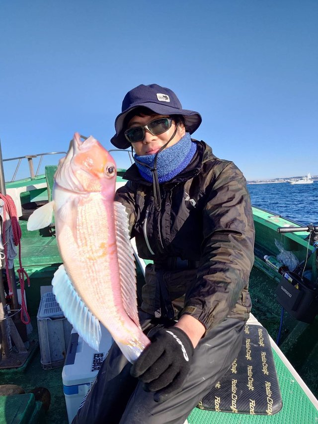 アマダイ(アカアマダイ)