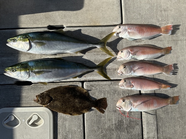 メジロ(ブリ)・シロアマダイ・ヒラメ