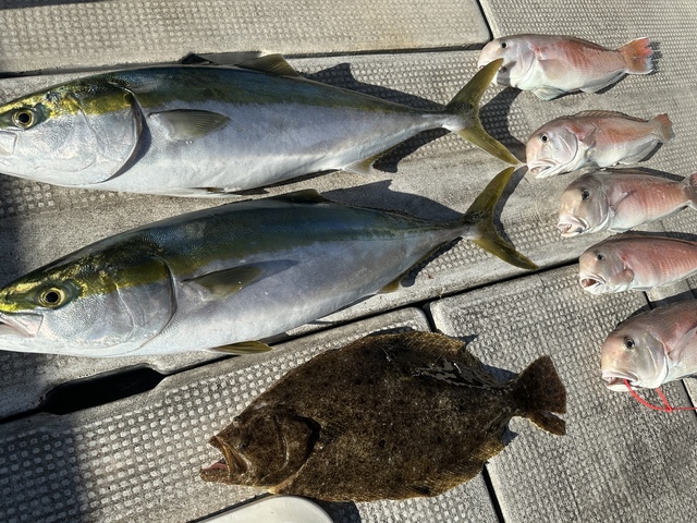 メジロ(ブリ)・シロアマダイ・ヒラメ