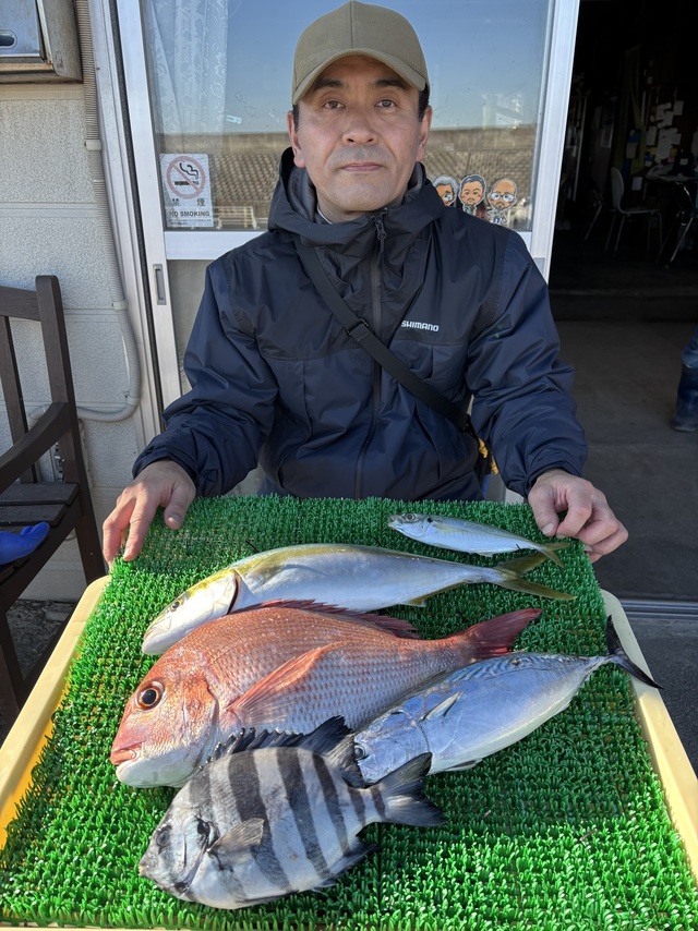 マダイ・イシダイ・アジ(マアジ)