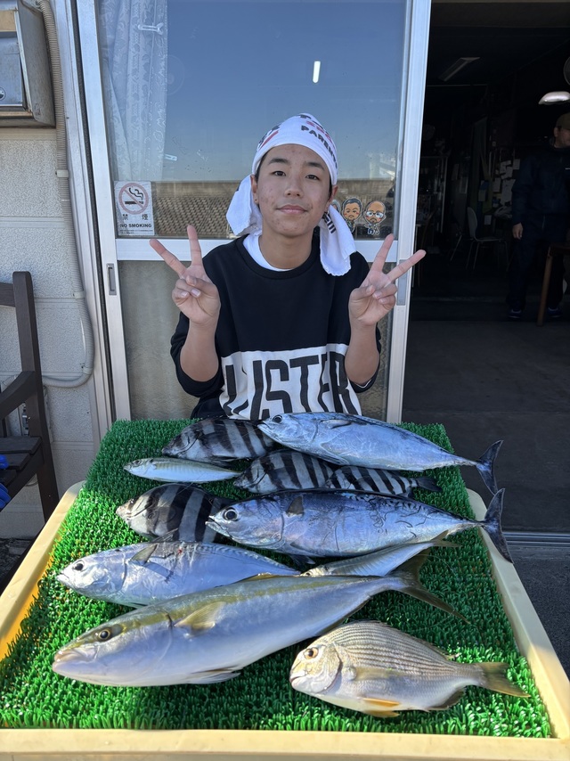 イシダイ・アジ(マアジ)