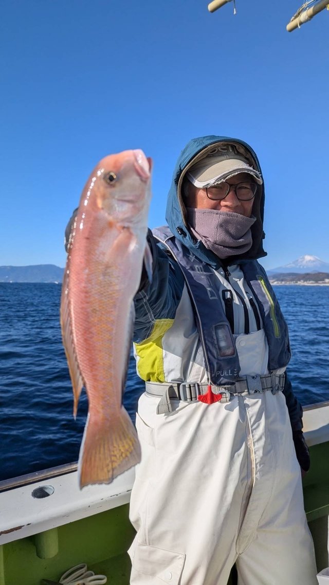 アマダイ(アカアマダイ)