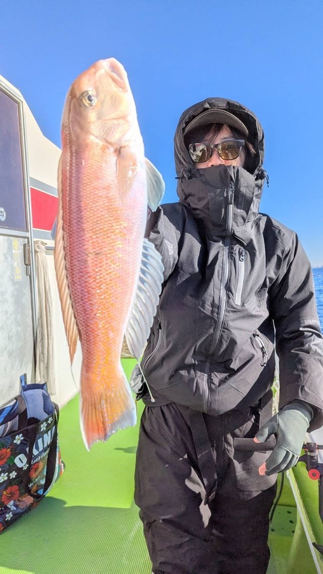 アマダイ(アカアマダイ)