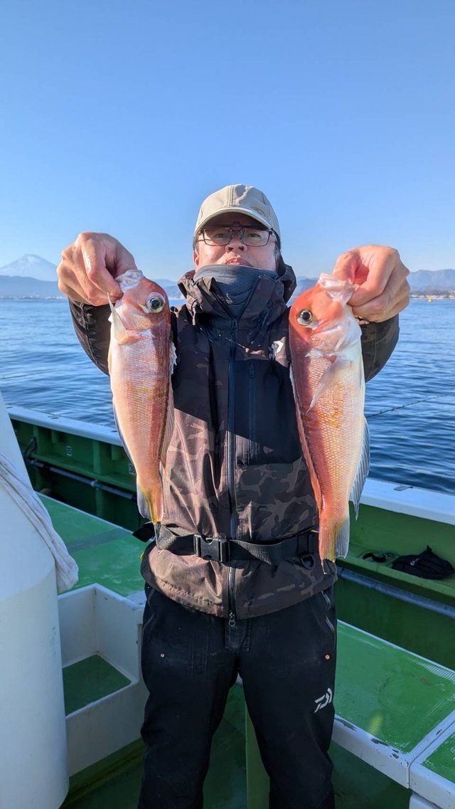 アマダイ(アカアマダイ)