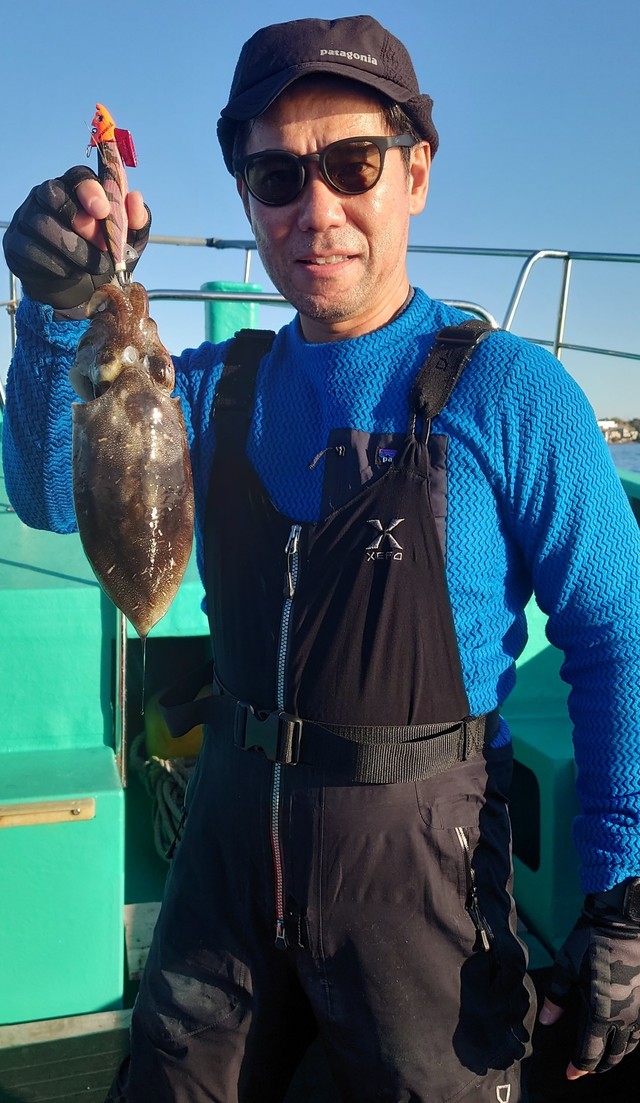 モンゴウイカ(カミナリイカ)