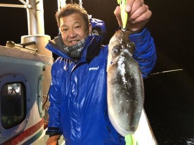 モンゴウイカ(カミナリイカ)