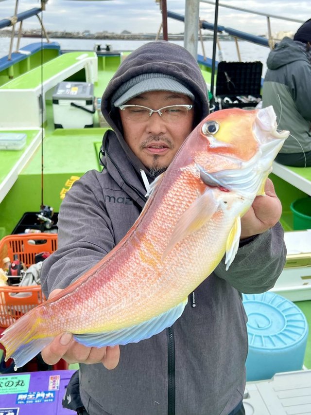 アマダイ(アカアマダイ)