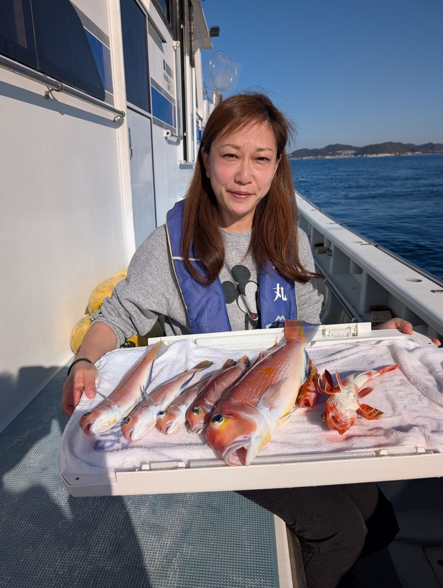 アマダイ(アカアマダイ)