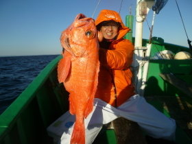 ベニアコウ(オオサガ)