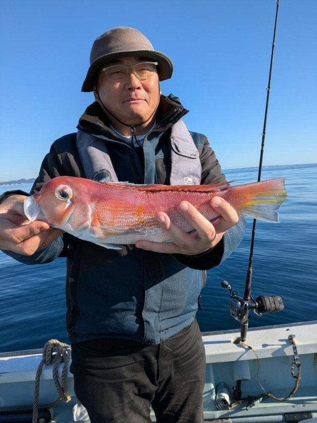 アマダイ(アカアマダイ)