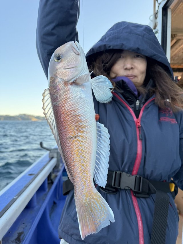 アマダイ(アカアマダイ)