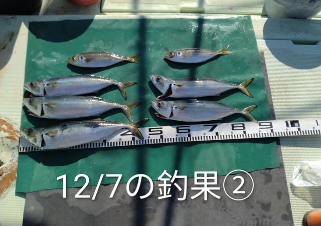 マアジ・マサバ