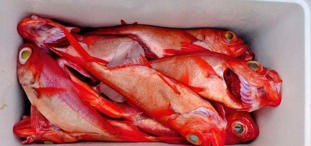 キンメ(キンメダイ)