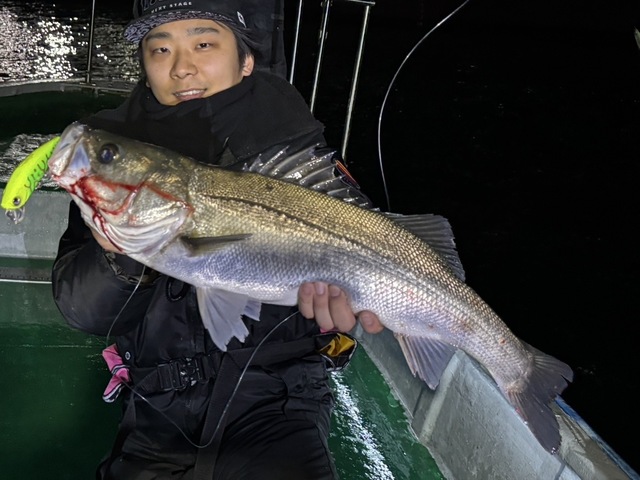 シーバス(スズキ)