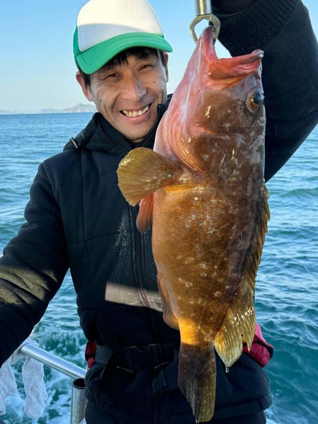 アコウ(キジハタ)