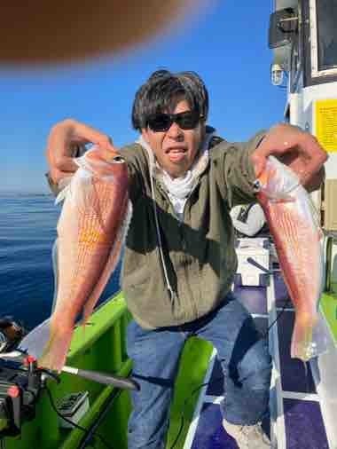 アマダイ(アカアマダイ)