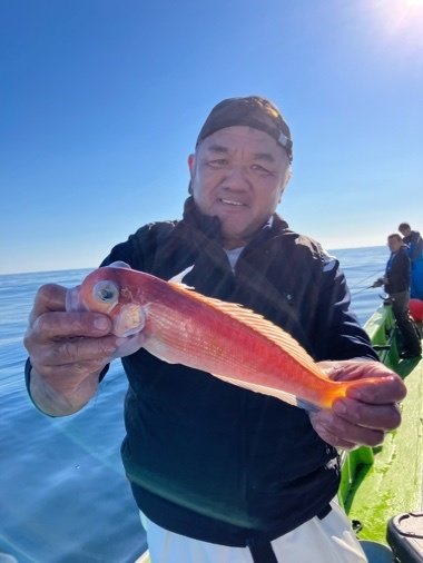 アマダイ(アカアマダイ)